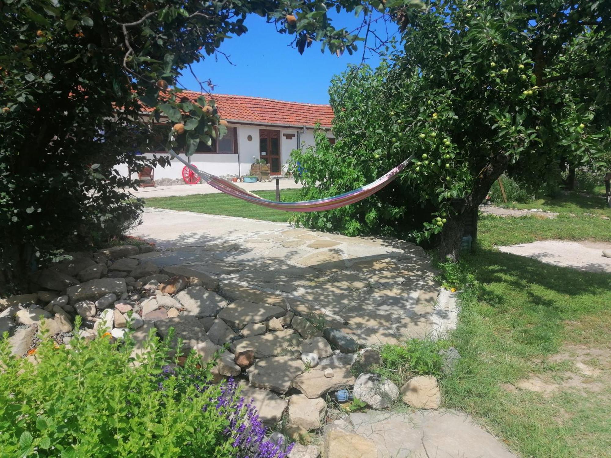 Calla Retreat Vezenkovo 外观 照片