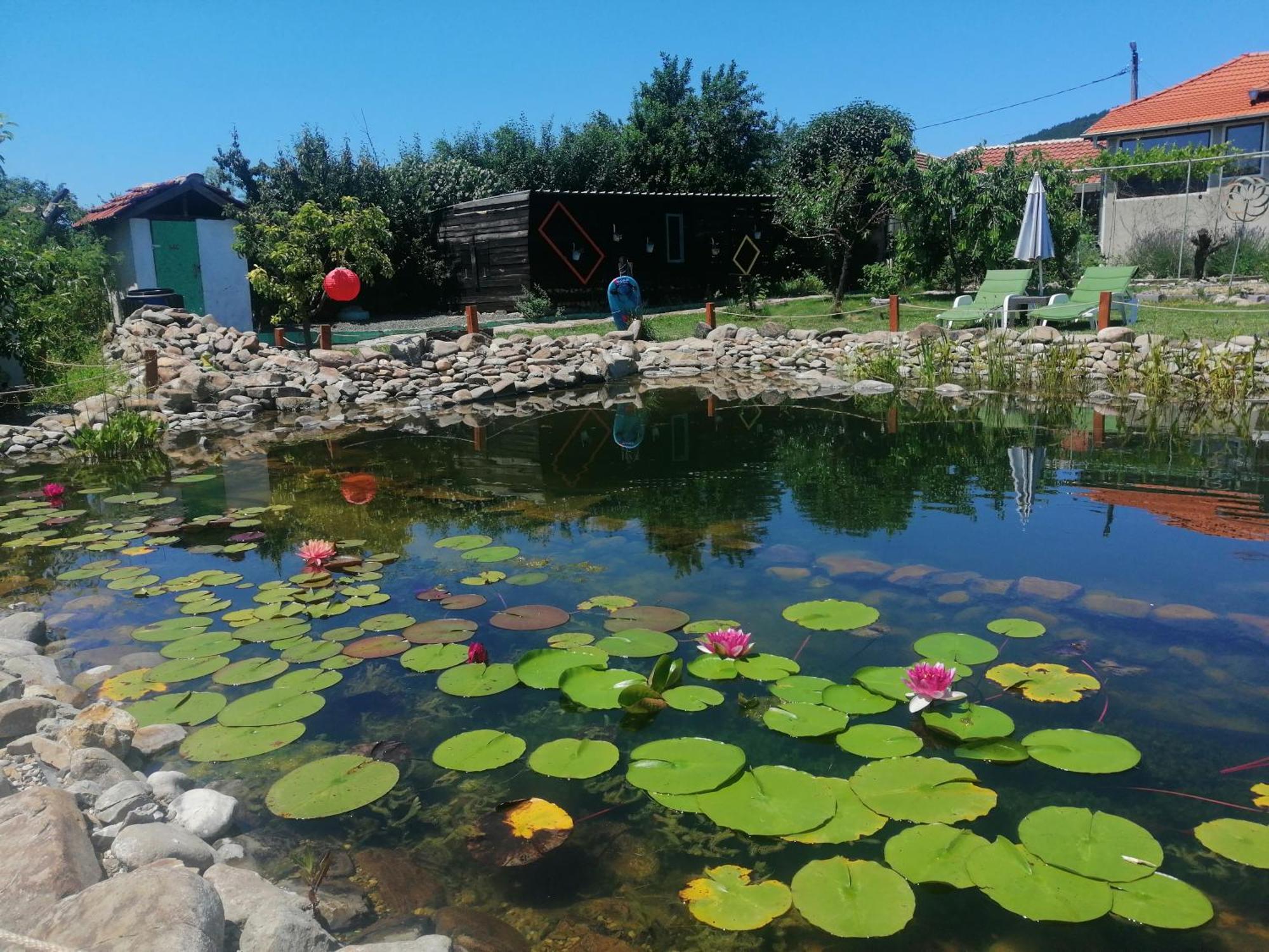 Calla Retreat Vezenkovo 外观 照片