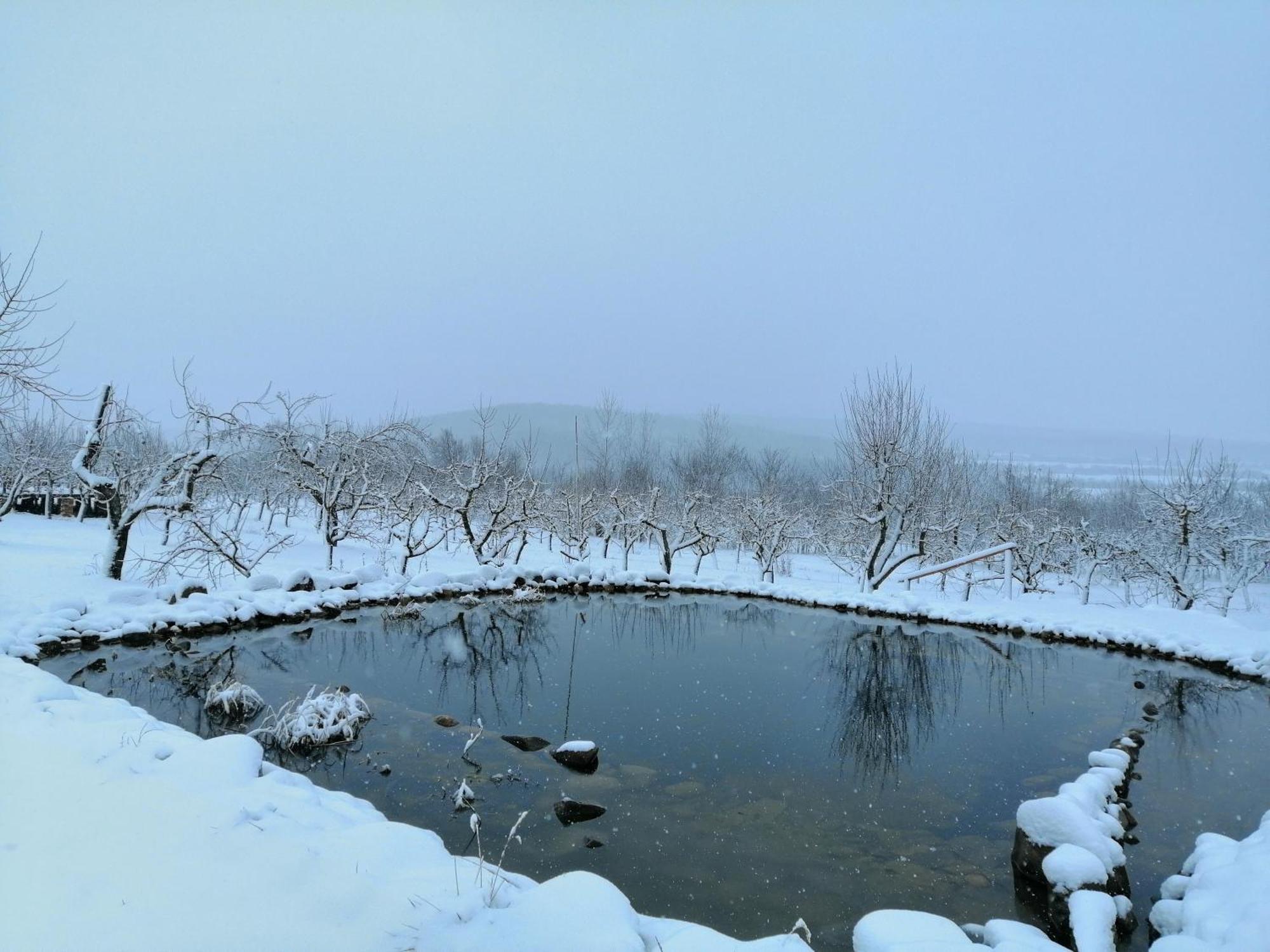 Calla Retreat Vezenkovo 外观 照片